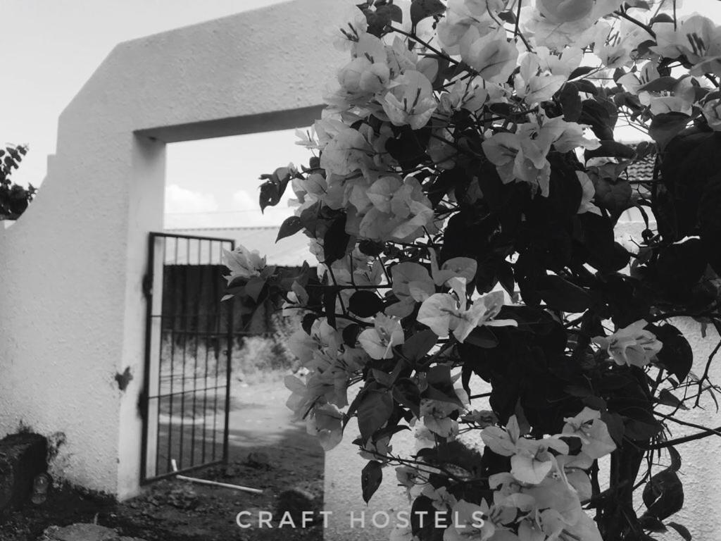 Craft Hostels Anjuna Bagian luar foto